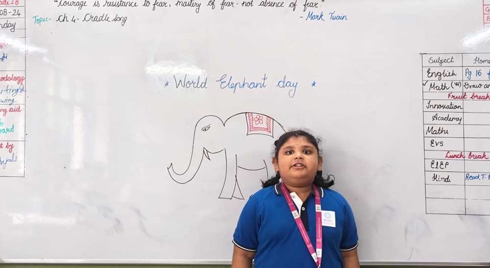 Elephant Day Activity - Mont - Grade VIII