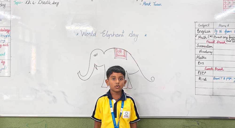 Elephant Day Activity - Mont - Grade VIII