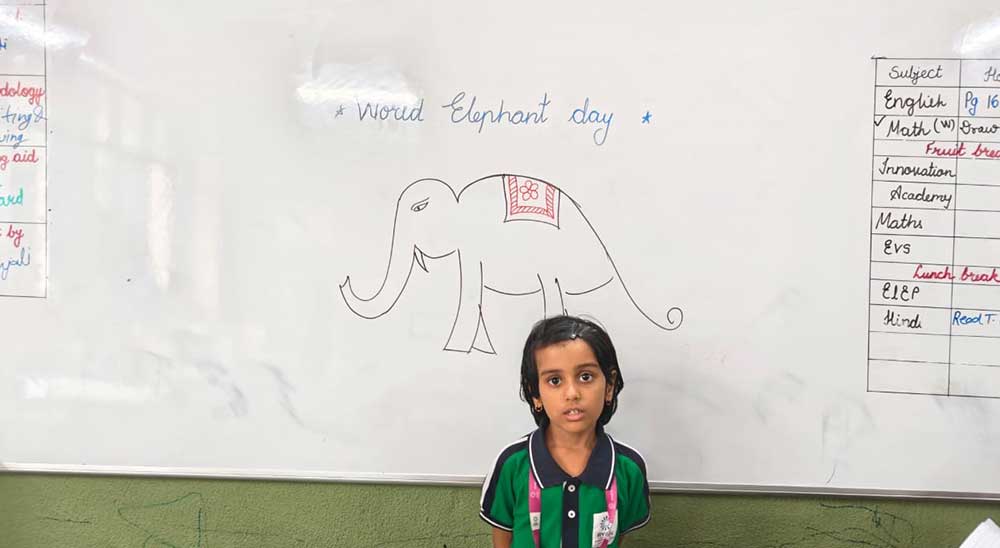 Elephant Day Activity - Mont - Grade VIII