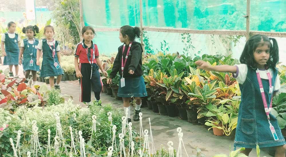 Field Trip Nursery