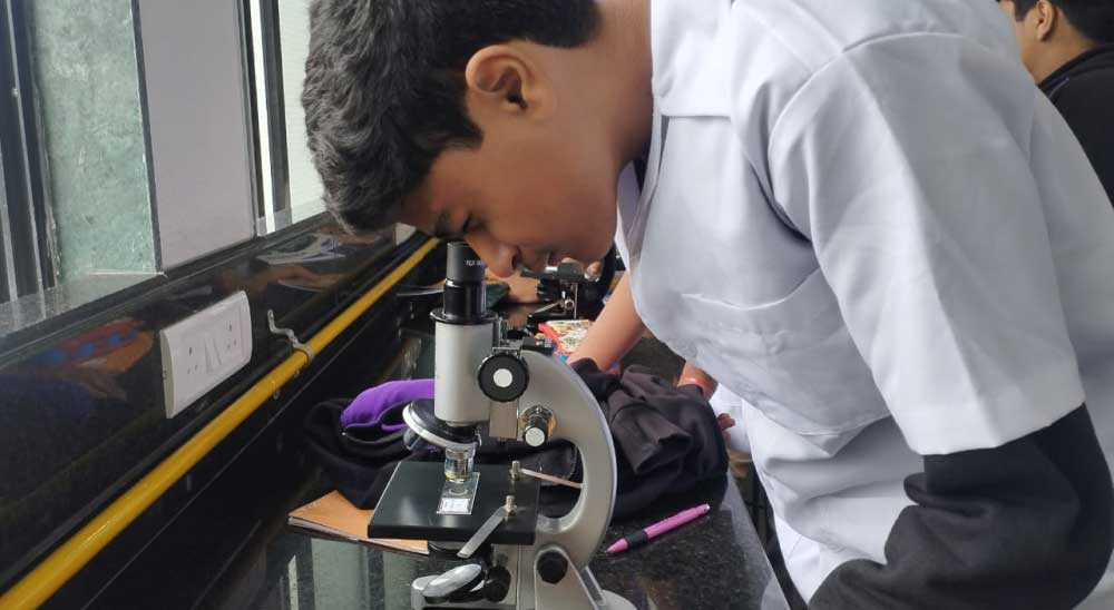 Biology Practical - Grade IX