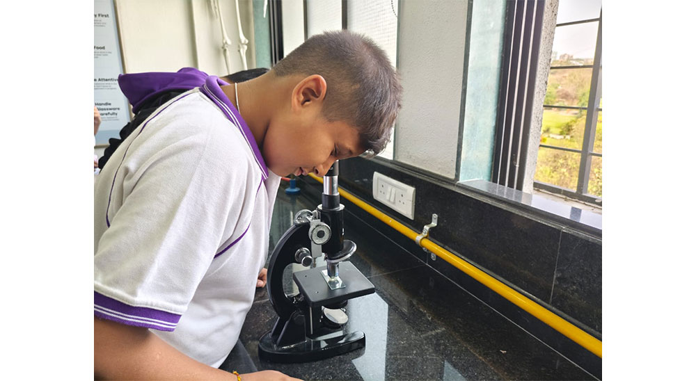 Microscopic Observation of  Plant and Animal Cells