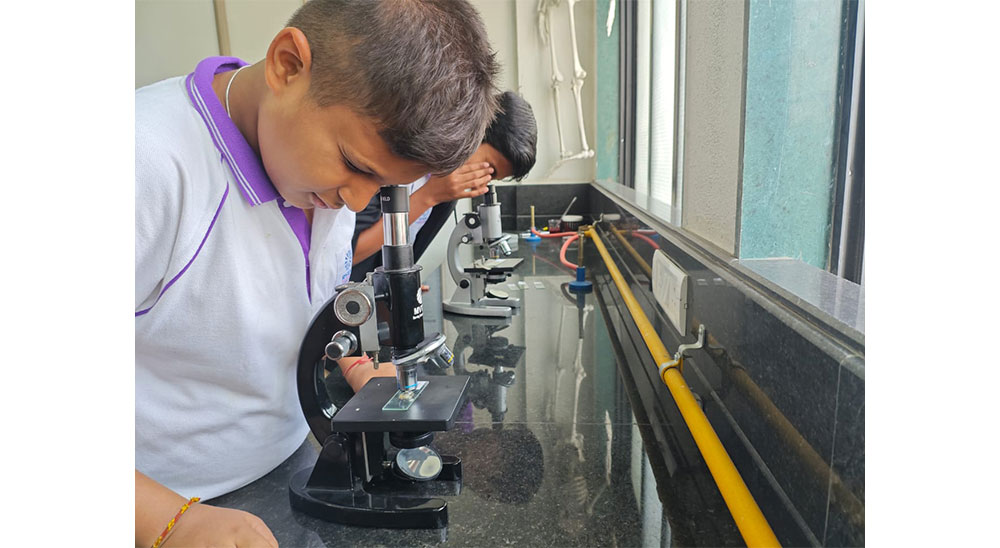 Microscopic Observation of  Plant and Animal Cells