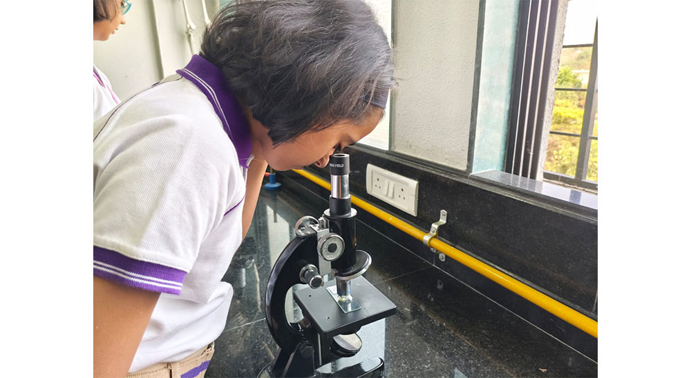 Microscopic Observation of  Plant and Animal Cells