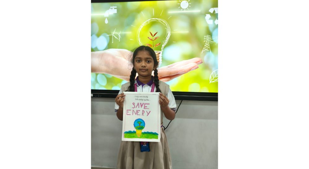 Energy Conservation Day