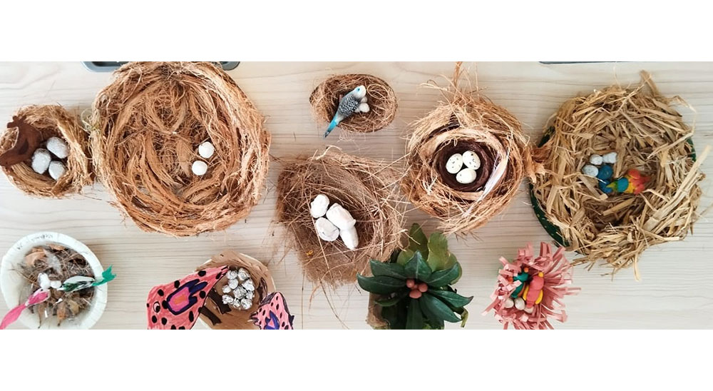 Nest Making Activity