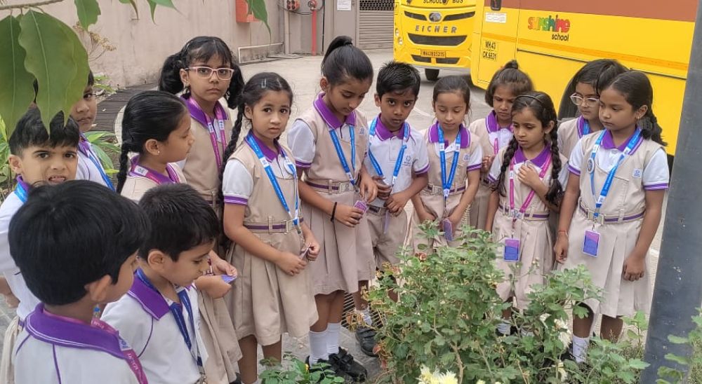 First Day Activities
