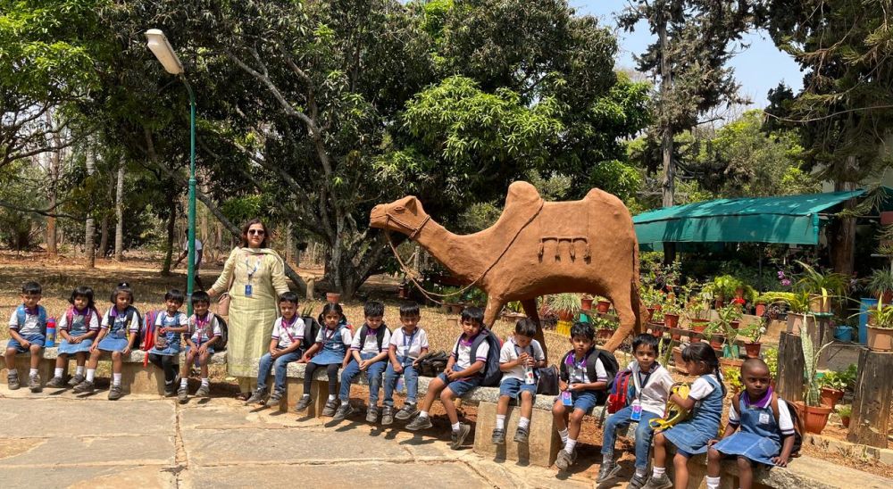 Field Trip - Mont