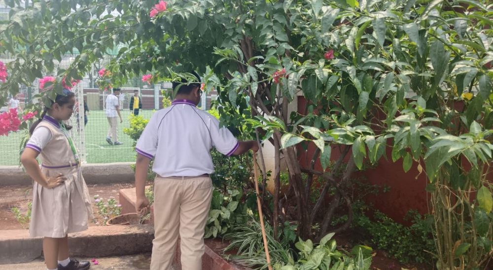 Eco & Gardening