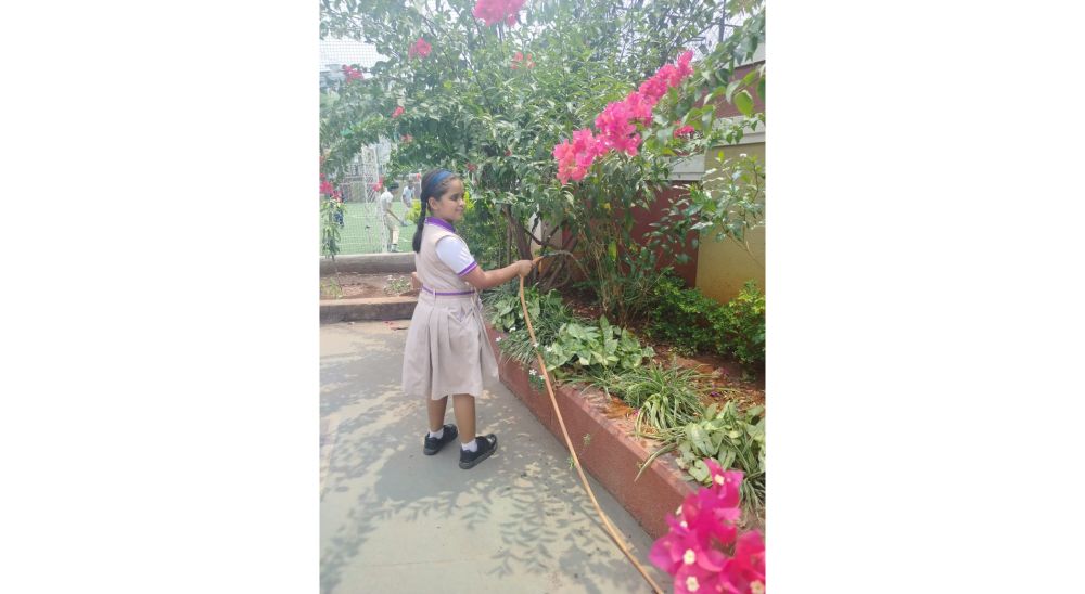 Eco & Gardening